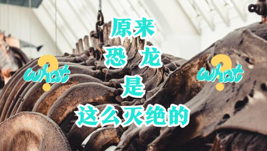 韩国地震,77778888香港王中王管家婆,全面解答解释落实_创意版V8.23