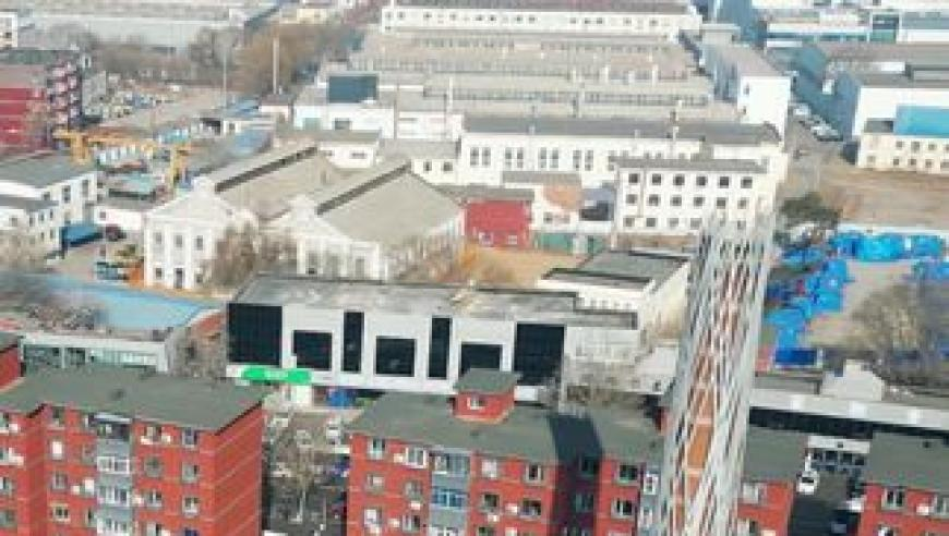 又贵又难吃的羽衣甘蓝被疯抢,澳门最准一码100中奖,广泛的解释落实方法分析_移动版V2.89