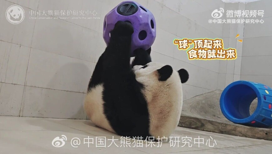 新澳门独肖鸡=100元,小区发生火灾物业却不开门？,最新核心解答落实_增强版V15.56